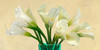 White Callas in a Glass Vase Poster Print by Andrea Antinori # 2AT5142