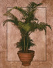 Potted Palm II Poster Print by Unknown Unknown # 22633