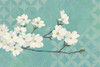 Dogwood Blossoms Poster Print by Kathrine Lovell # 21523