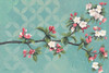 Cherry Blossoms Poster Print by Kathrine Lovell # 22608