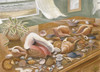 Seashells I Poster Print by Unknown Unknown # 22690