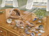 Seashells II Poster Print by Unknown Unknown # 22691