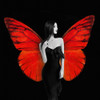 Winged Beauty -2 Poster Print by Julian Lauren # 1AP5070