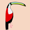 Abstract Toucan Poster Print by Susan Bryant # 15986