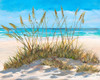 Beach Grass Poster Print by Julie DeRice # 15937