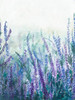 Lavender Garden I Poster Print by Patricia Pinto # 15912A