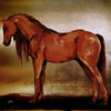 Red Horse II Poster Print by Elizabeth Medley # 15742