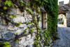 Tuscany Streets Poster Print by Bill Carson Photography Bill Carson Photography # 15572
