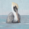 Pelican Wash II Poster Print by Julie DeRice # 15119