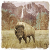 Bison Falls Poster Print by Dan Meneely # 12077B