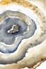 Up Close Agate II Poster Print by Patricia Pinto # 11992BC