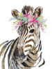 Whimsical Water Zebra Poster Print by Patricia Pinto # 11991M