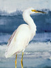 Heron on Blue II Poster Print by Lanie Loreth # 11924C