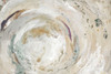 Nature Swirl Poster Print by Lanie Loreth # 11756A