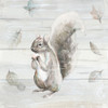 Neutral Squirrel Poster Print by Patricia Pinto # 11822D