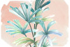 Jungle Gems on Blush I Poster Print by Patricia Pinto # 14786A