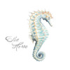 Sea Horse Poster Print by Patricia Pinto # 14669