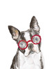 French Bulldog with Glasses Poster Print by Patricia Pinto # 14269KC