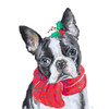 Holiday Dog II Poster Print by Patricia Pinto # 14269