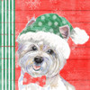 Holiday Puppy IV Poster Print by Patricia Pinto # 14268GA