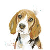 Watercolor Beagle Poster Print by Patricia Pinto # 14268G