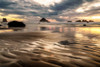 Pacific Low Tide Poster Print by Andy Amos # 14024A