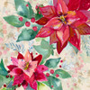 Holiday Poinsettia II Poster Print by Patricia Pinto # 14079M
