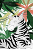 Hidden Zebra Poster Print by Elizabeth Medley # 13968AB