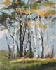 Golden Birch Trees Poster Print by Jane Slivka # 13824AF