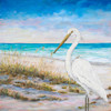 Egret on the Beach Poster Print by Julie DeRice # 13907BC