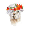 Floral Llama II Poster Print by Lanie Loreth # 13544LA