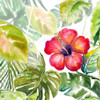 Hibiscus on Selva Poster Print by Patricia Pinto # 13582P