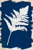 White Leaf on Navy I Poster Print by Lanie Loreth # 13617LD