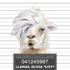 Llamas Livy Poster Print by Lanie Loreth # 13544R