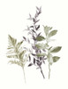 Tonal Leaves I Poster Print by Lanie Loreth # 13617AS