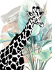 Tropical Giraffe Poster Print by Patricia Pinto # 13384FC
