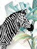 Tropical Zebra Poster Print by Patricia Pinto # 13384DB