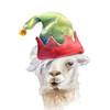 Christmas Hat Llama Poster Print by Lanie Loreth # 13544HF
