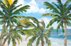 Tropical Trees Paradise Poster Print by Julie DeRice # 13180Q