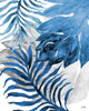 Blue Fern and Leaf II Poster Print by Elizabeth Medley # 13220K