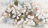 Peach Blossom Poster Print by Patricia Pinto # 13234C