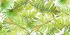 New Green Scattered Palms Poster Print by Patricia Pinto # 13099A