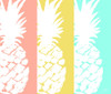 Modern Pineapple Trio Poster Print by Julie DeRice # 12531DD