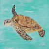 Sea Turtle II Poster Print by Julie DeRice # 12491A