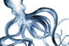 Octopus in the Blues Poster Print by Elizabeth Medley # 12306M