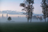 Foggy Morning I Poster Print by Dick Carlier # 11544