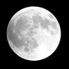 Moon Phase I Poster Print by Gail Peck # 10705A