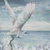 Great Egret Flying Poster Print by Patricia Pinto # 10815J
