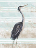 Grey Heron II Poster Print by Julie DeRice # 10582H