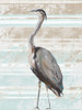 Grey Heron I Poster Print by Julie DeRice # 10581J